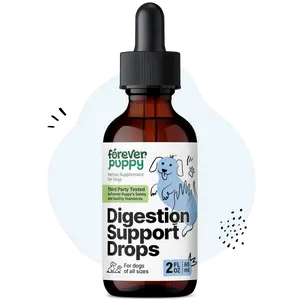 Digestion Drops for Dogs - Fennel Seeds & Licorice Root Extract for Dogs' Gut Cleanse - Liquid Digestive Health Support Fiber Supplement for All Breeds & Sizes - 2 oz