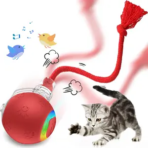 Cat&Dog Toy - Interactive USB Rechargeable Ball Toy on Rug with Bird Chirping, Anti-Depression Fun Gift for Cats & Dogs