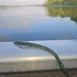 55in Finesse Worm - Leprechaun