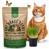 Cat Grass Seeds Mix - 5,200 Non-GMO Heirloom Seeds for Cats & Pets, 4 oz Pack for Growing Fresh Barley, Oat, Rye & Wheat Grass Seeds for Planting, Indoor Plants for Pets, Hairball Remedy for Cats