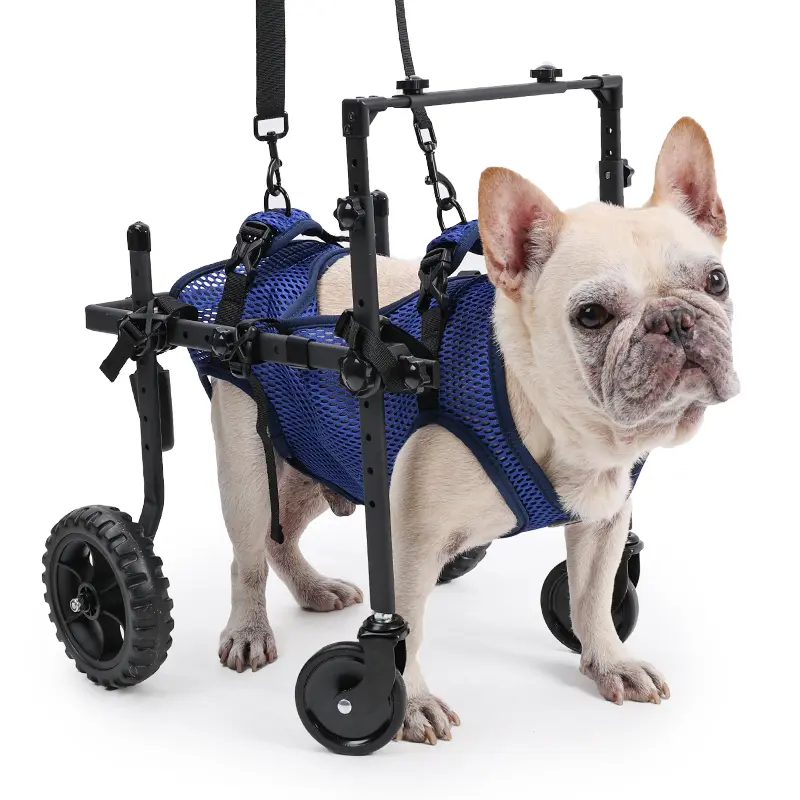 4-Wheel Adjustable Pet Wheelchair Mobility Assistance Cart for Disabled Small Medium Dogs