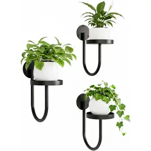 Wall  Holder -  Planters for Indoor, Window Planter Shelves & Hanger, Indoor Wall Planters, Modern  Decor, Black (3 Pack)