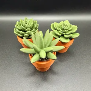 Succulent Spinners - Fidget- 3D Printed, Ideal for Fidgeting and Stress Relief