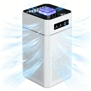 Negative Ion Air Purifier, 3 Levels Intelligent Adjustment, Energy Efficient, USB Powered, Hepa Filter, Home Office Use, Fumes, Pollen, Pet, Household Air Cleaner