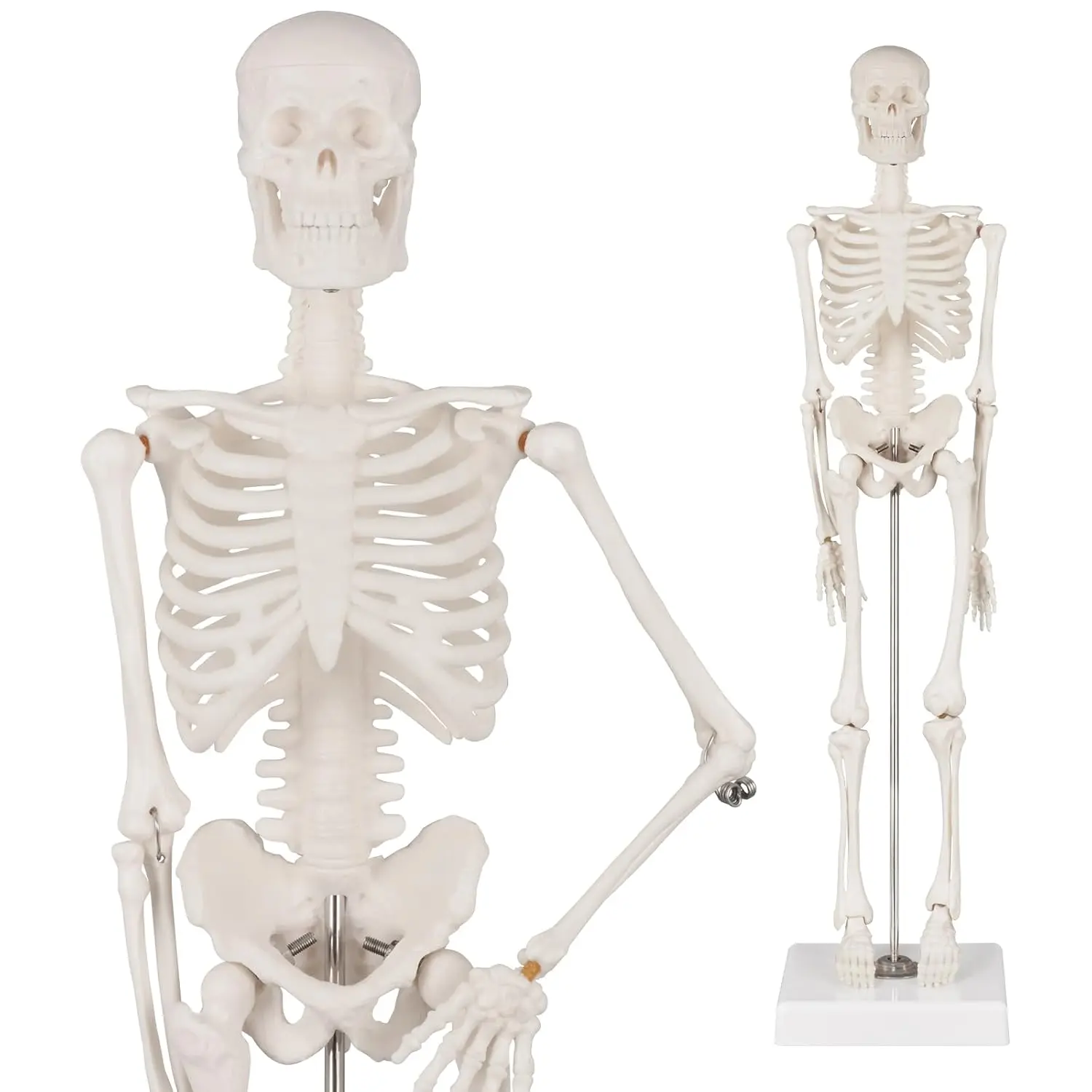 mattyice0296 skeleton - TikTok Shop