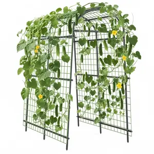 7FT Tall Metal Garden Arch Trellis, Heavy-Duty Outdoor Climbing Plant Support for Raised Beds, Stable Bolt Structure with Ground Stakes Perfect for Cucumber and Vegetable Vines