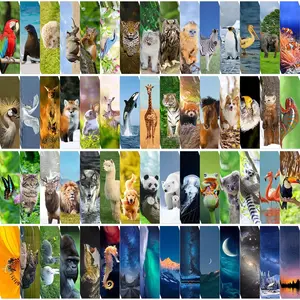 300 count  Bulk Bookmarks for  Classroom 60 Designs Cool  Bookmark Cute Book Mark Double Sided Bookmark for Book Lovers Students  Rewards Gifts