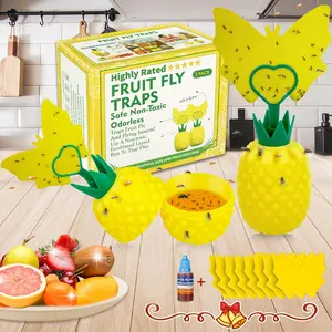 2PCS/4PCS Fruit Fly Trap for Indoors, Effective Fly Catcher Gnat Trap Killer with Yellow Sticky Traps, Gnat Trap with Bait for Indoor and Outdoor, Safe Non-Toxic and Odorless Fly Trap for Home,Kitchen