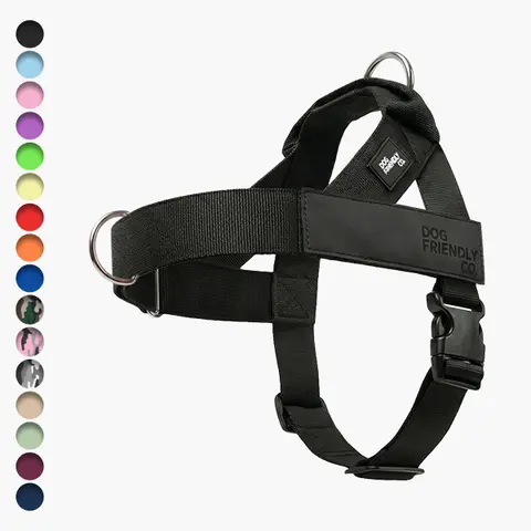 Dog Friendly Co. No Pull Dog Harness Set - Leash Control, Chafe Resistant, Front D-Ring, Front Grip Handle, Choke-Free, 1-Click Easy-On Buckle, Polyester, Multi-Size (XXS-XL)
