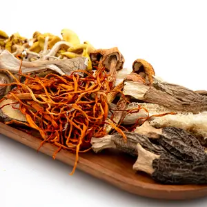 Mushroom Soup Package of 11 Type of Mushrooms