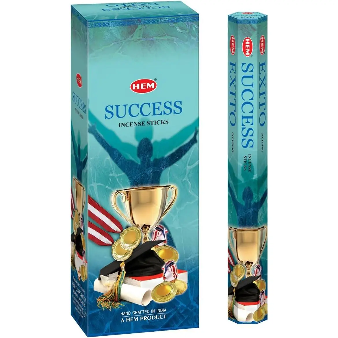 Hem Incense Sticks (Pack of 6) | Ideal for Meditation, Rituals & Cleansing (Success)