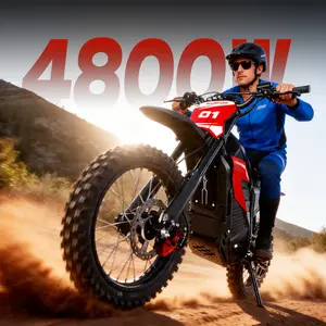 Electric Bike for Adults, 4800W Peak Electric Bike, 60V 30AH Battery, 17"/14" Big Tires, Dual Disc Brakes, All-Terrain Mountain E-Bike