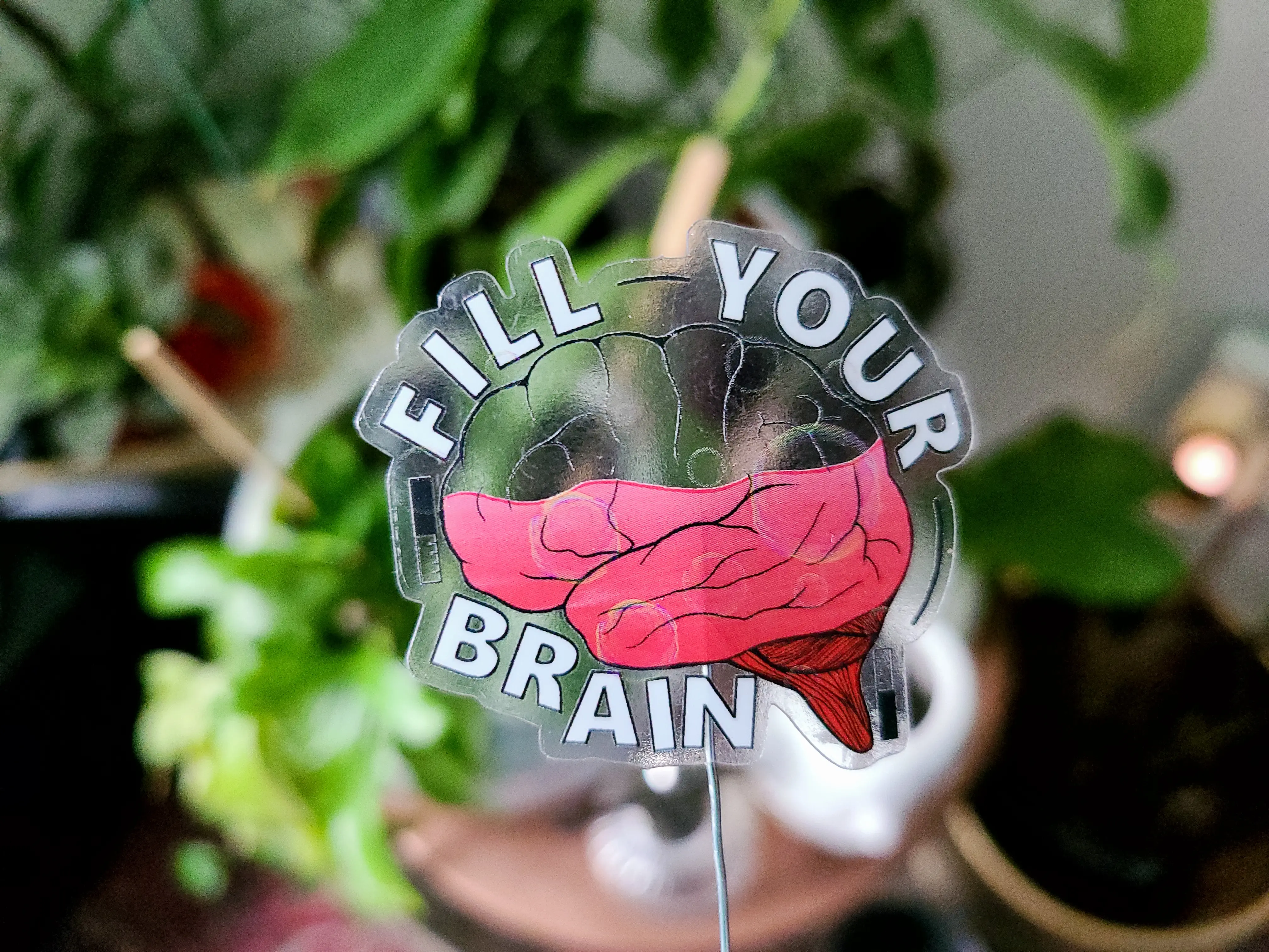 Fill Your Brain - Clear Brain Science Sticker - Anatomy Science Decal for Laptop, Note Book, Water Bottle, and More! Waterproof/Weatherproof
