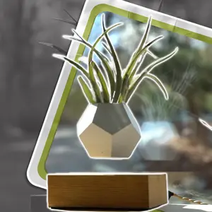 The Levi Plant The first levitating plant