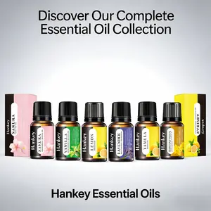 3 Pcs Water Soluble Aroma Essential Oil 10ml - Long Lasting Scents for Humidifier Diffuser Home Office