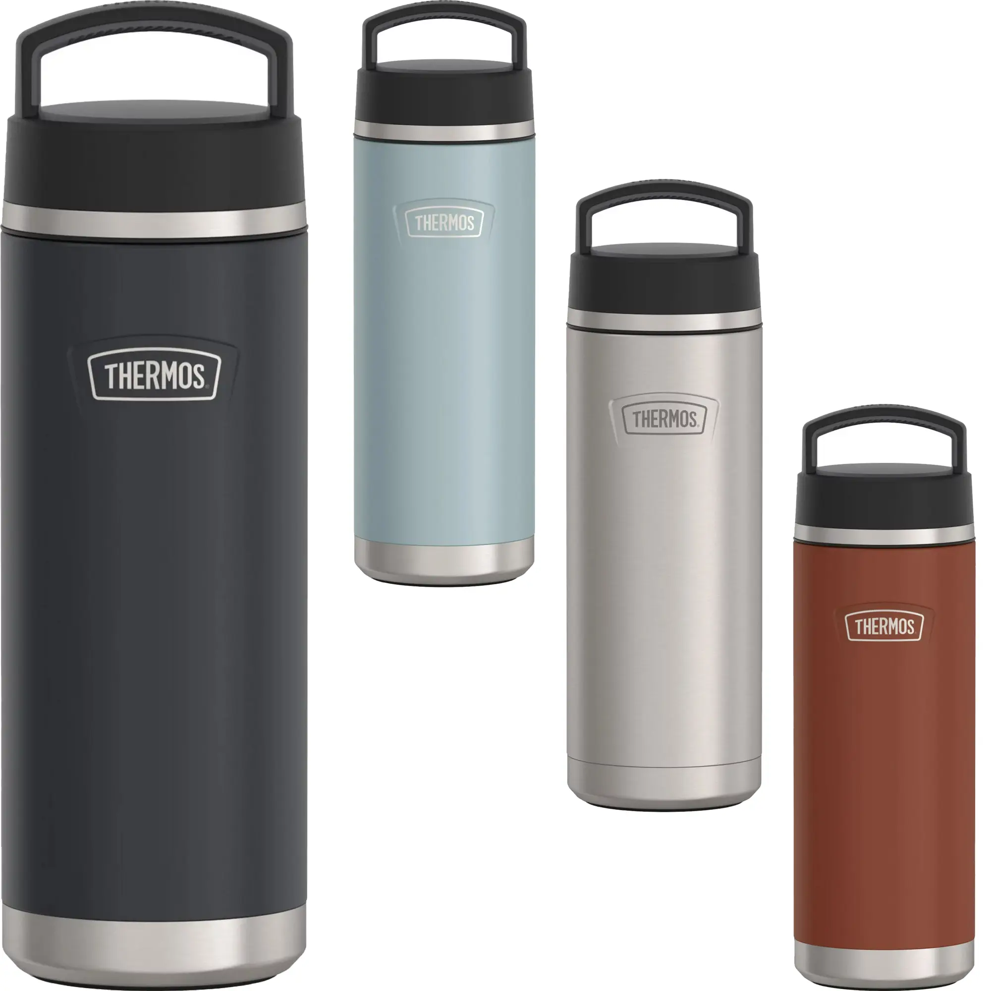 Thermos 32 oz. Icon Insulated Stainless Steel Screw Top Water Bottle