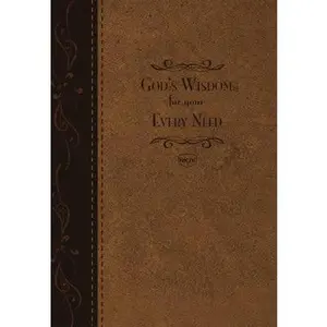 USED-God's Wisdom for Your Every Need by Countryman, Jack (Unknown)