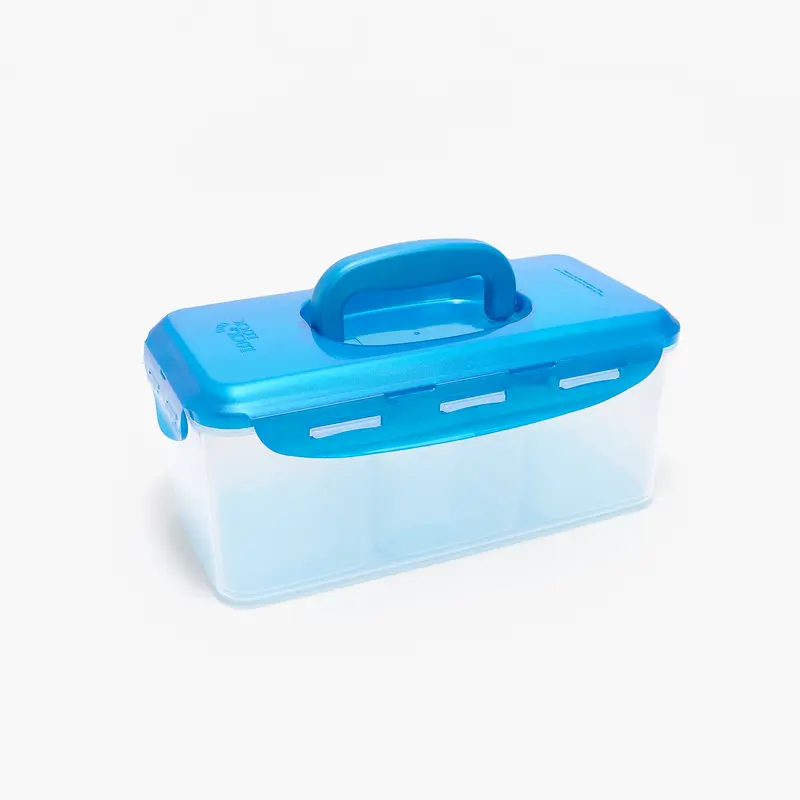 LocknLock Divided Rectangle W/ Handle Lid