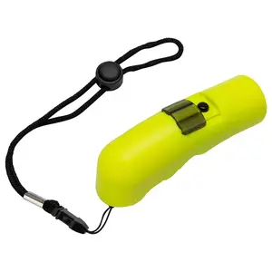 Electronic Whistle Electronic Whistle