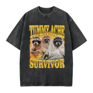 Tummy Ache Survivor Shirt, Funny Raccoon Meme Tee, Vintage Y2K Graphic T-Shirt for Men Women, Gag Gift for Friend with Stomach Issues