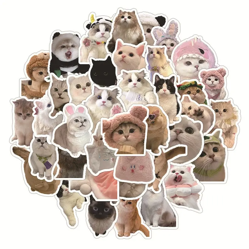 Mystery Pack 5 Random Viral Dog & Cat Meme Stickers