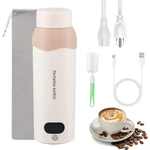 Portable Travel Electric Kettle 304 Stainless Small Water Boiler 450ml USB And Plug In Water Heater Steel With Bag