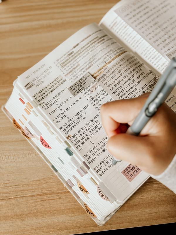 Mr. Pen Esther Bible Journaling Kit with 12 Dual Tip Highlighters, 6 .5mm Pens, Magnetic Bookmarks, Sticky Notes, & Bible Tabs