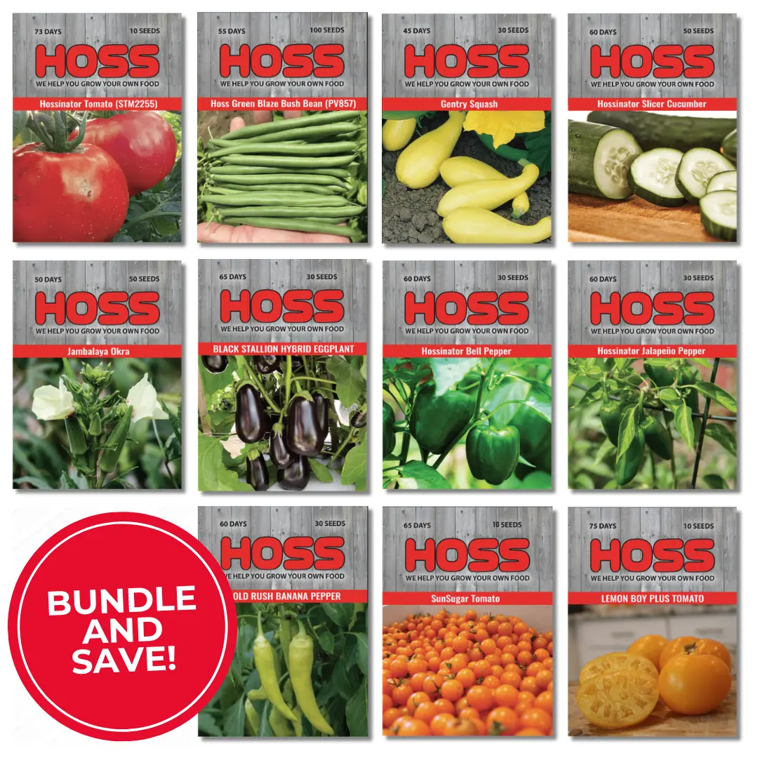 HOSS Southern Garden Seed Bundle Package Deals for Beginners - Black Stallion Eggplant & Other Varieties for Home Gardens/Southern Climates - Save Money on Seed Varieties