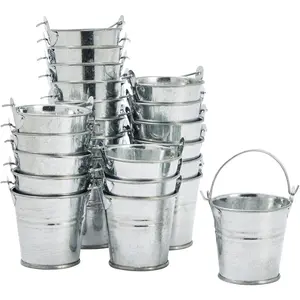 24 Pack Mini Metal Buckets with Handles for Party Favors & Galvanized Decor - Small Galvanized Tin Pails (2 x 2 in Metal Bucket)
