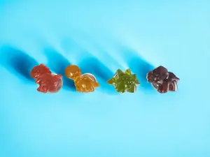 Resin Dino Shoe Charms, Set of 4 -  Dinosaur Clog Charms, Clog Charms, Footwear Accessories, Shoe Decor Comfort