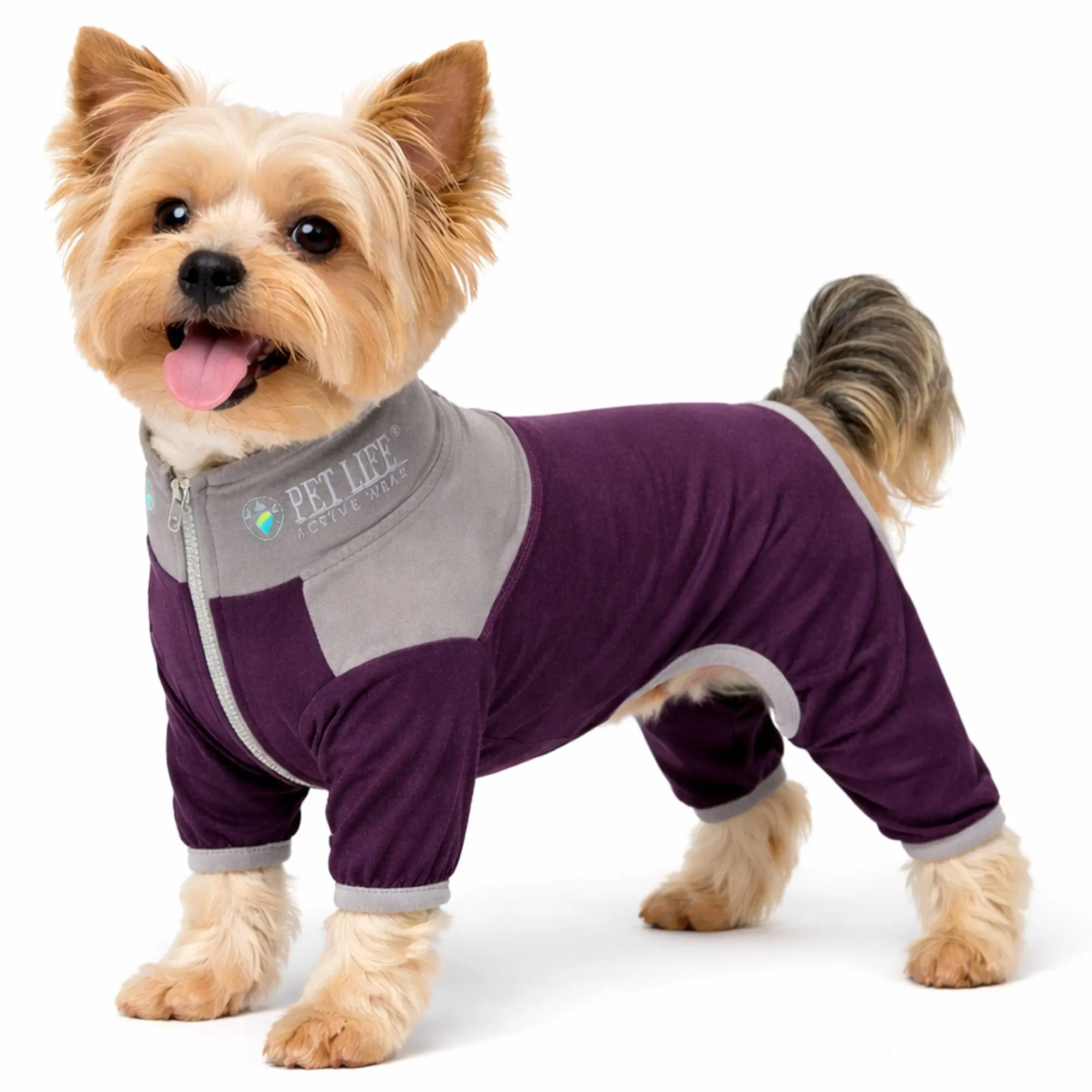 Pet Life ®  Active 'Embarker' 4-Way Stretch Fitness Yoga Full Body Dog Tracksuit