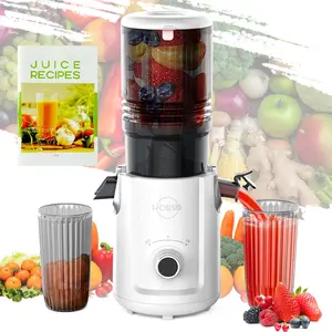 Karinear Juicer Machines, 5.3-Inch Cold Press Juicer, Masticating Slow Juicer Machines with 350W, Large Feed Chute Juice Machines for Vegetables and Fruits, Easy to Clean Juicers, High Juice Yield White