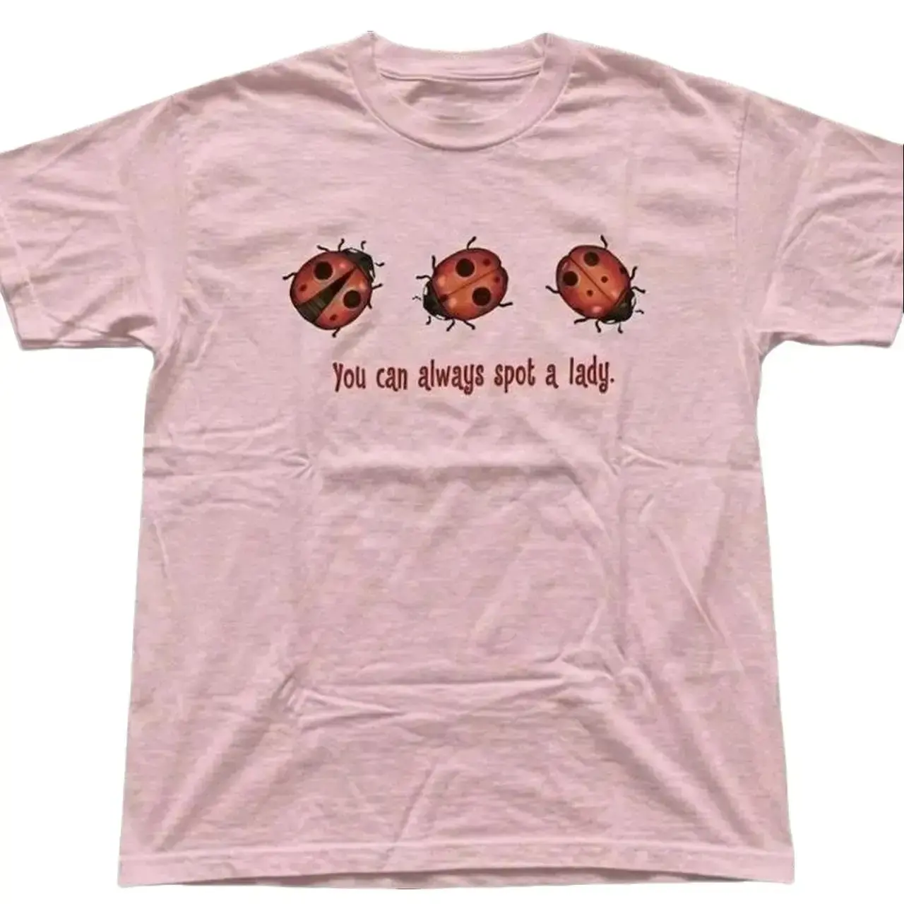 Cool Red Beetle Lady Bug Graphic Tee, Humorous Aesthetic Girl Power Spring Gift T-Shirt, Gildan Unisex Comfort Fit, Womenswear