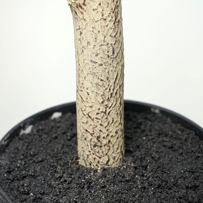 Artificial Fiddle Leaf Fig Tree 5ft - Faux Ficus Tree Nearly Natural Indoor Outdoor, UV-Resistant Tall Artificial Plants, Standing Fake Plant Tree for Home Office Living Room Decor