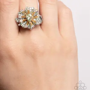 Descendent display green ring