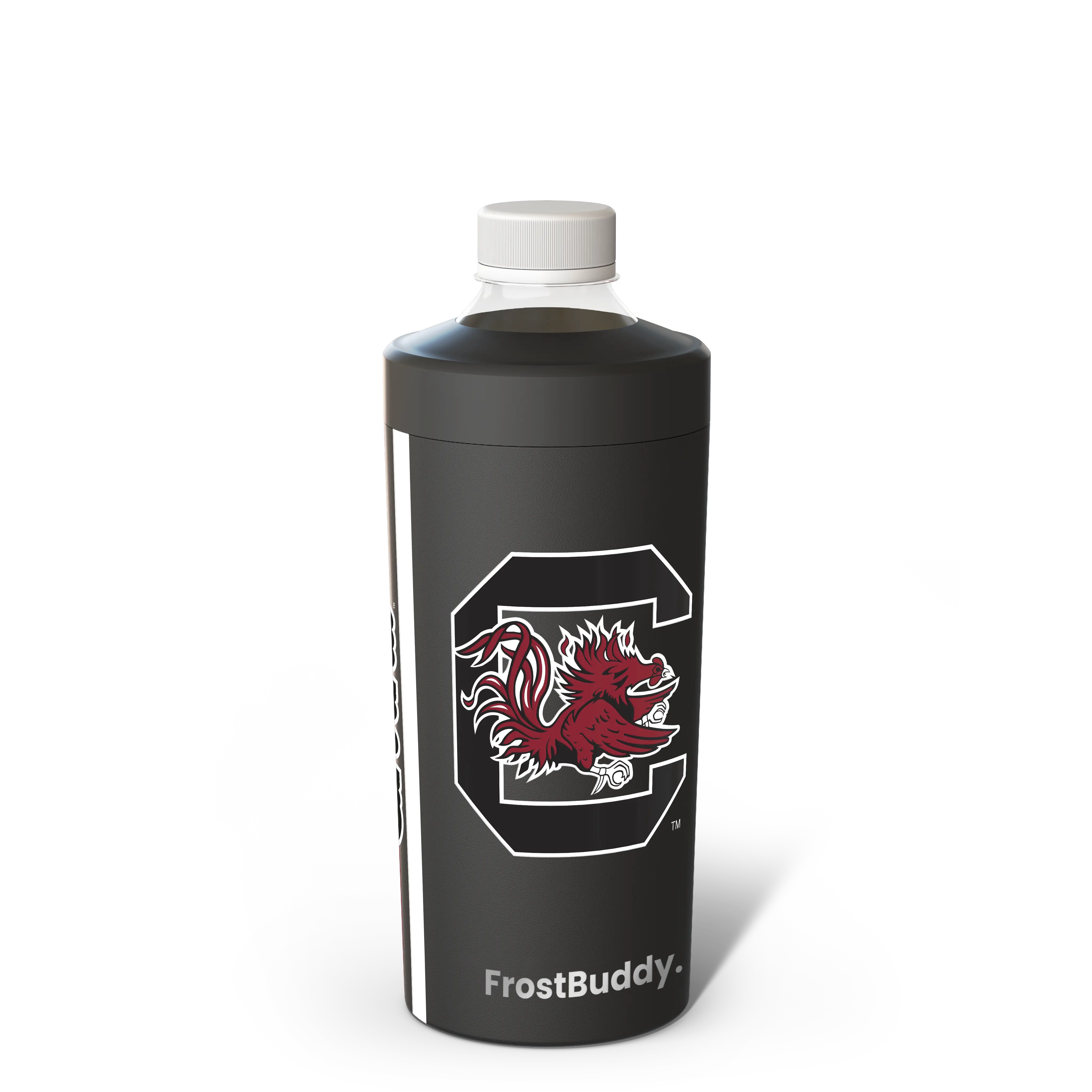 South Carolina Gamecocks