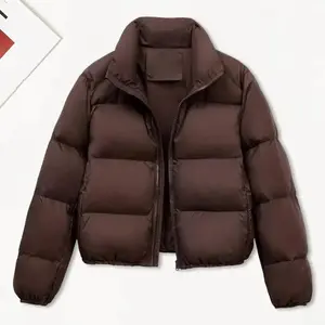 Winter Women Parkas Stand Collar Neck Zipper Closure Coat Long Sleeves Windproof Heat Retention Padded Down Coat Casual Sports Jacket Technical Jacket