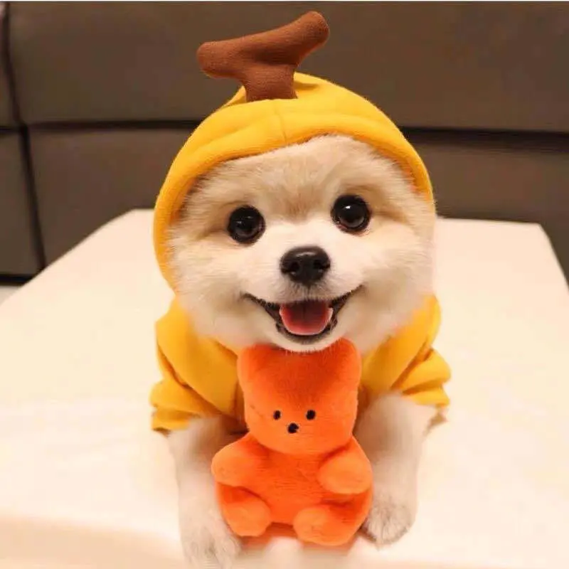Dog Hoodie Warm Fleece Sweater
