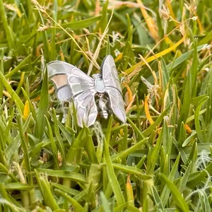 Mother of Pearl Sterling Silver Butterfly Ring, 925 Statement Ring, Stamped Guaranteed,Gift for Her  Gift Ideas 2025