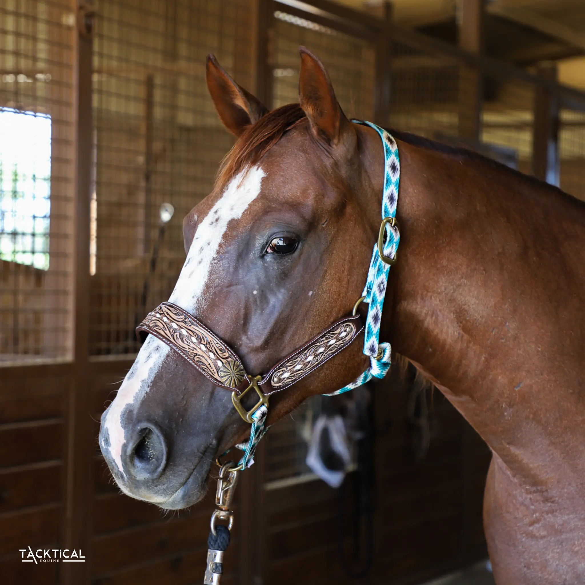 BRAYDEN TOOLED LEATHER BRONC HALTER BY TACKTICAL