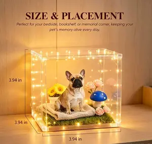 Death is not the end; oblivion is the true conclusion. — Pet Holographic Digital Displays | Pet Memorials | 3D Cat Projectors | 3D Dog Imaging Boxes | Eternal Memories for Small Pets