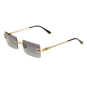 The Authentic II by James Oro