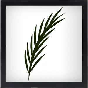 11x11 Picture Frame in Black - Horizontal and Vertical Formats for Wall - Photo Frames with Shatter Resistant Plexiglass