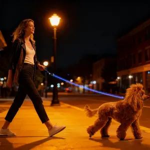 LED Dog Leash – Rechargeable Light Up Dog Leash for Night Walks, High-Visibility Safety Leash for Small & Large Dogs