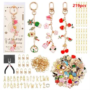219pcs Keychain Making Kit |   Bag Charm Kit with 50 Charms, Keychain Clips, Key Ring Jewelry Plier, Extender Chain, Letter Beads for Crafting and Jewelry Making |   Zinc Alloy, Color Block Design by LINNO