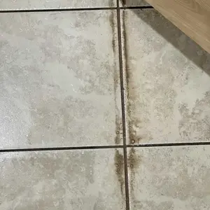 Product Review of Schenley 18-in-1 Steam Mop with Detachable Handheld Steamer for Walls, Floors, Tiles, Tackles Grease & Sticky Messes, Includes Multiple Accessories Cleaning Tools Cleaning Set from T**s G**l