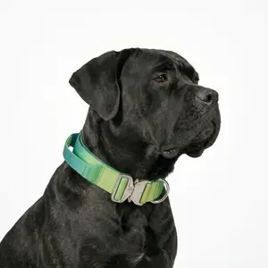 Premium Green Ombre Tactical Dog Collar with Handle - Heavy Duty Anti Pull K9 Training Gear, Quick Release Metal Buckle for Giant Dogs, Cane Corso, Mastiff - Vibrant Gradient Padded Collar