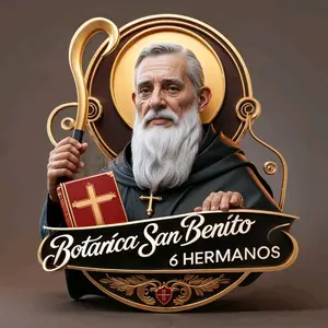 Botanica San Benito 6 Hermanos