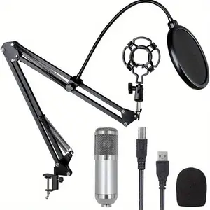 Usb800 Microphone Set, /gold/silver Colors, Heart-Shaped Pickup, Clear Voice, Adjustable Arm Stand, Ideal for Live Streaming, Gaming, Video, Meeting, Singing, Recording