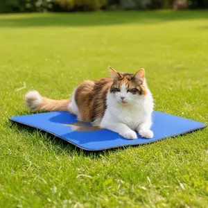 Triple Whisker Blue Mat - Cat Mat - Pet Mat